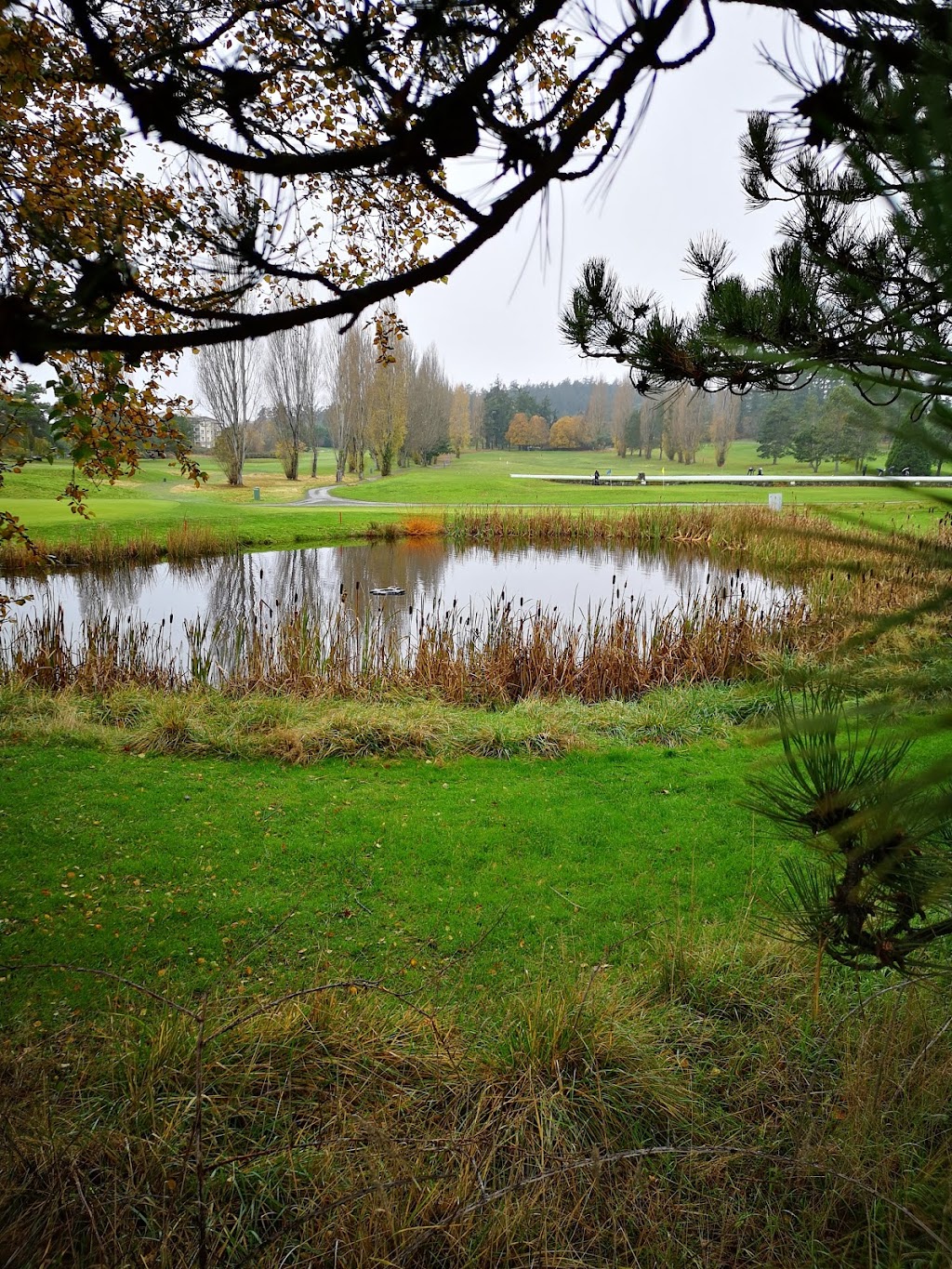 Gorge Vale Golf Club | 1005 Craigflower Rd, Victoria, BC V9A 2X9, Canada | Phone: (250) 383-6451