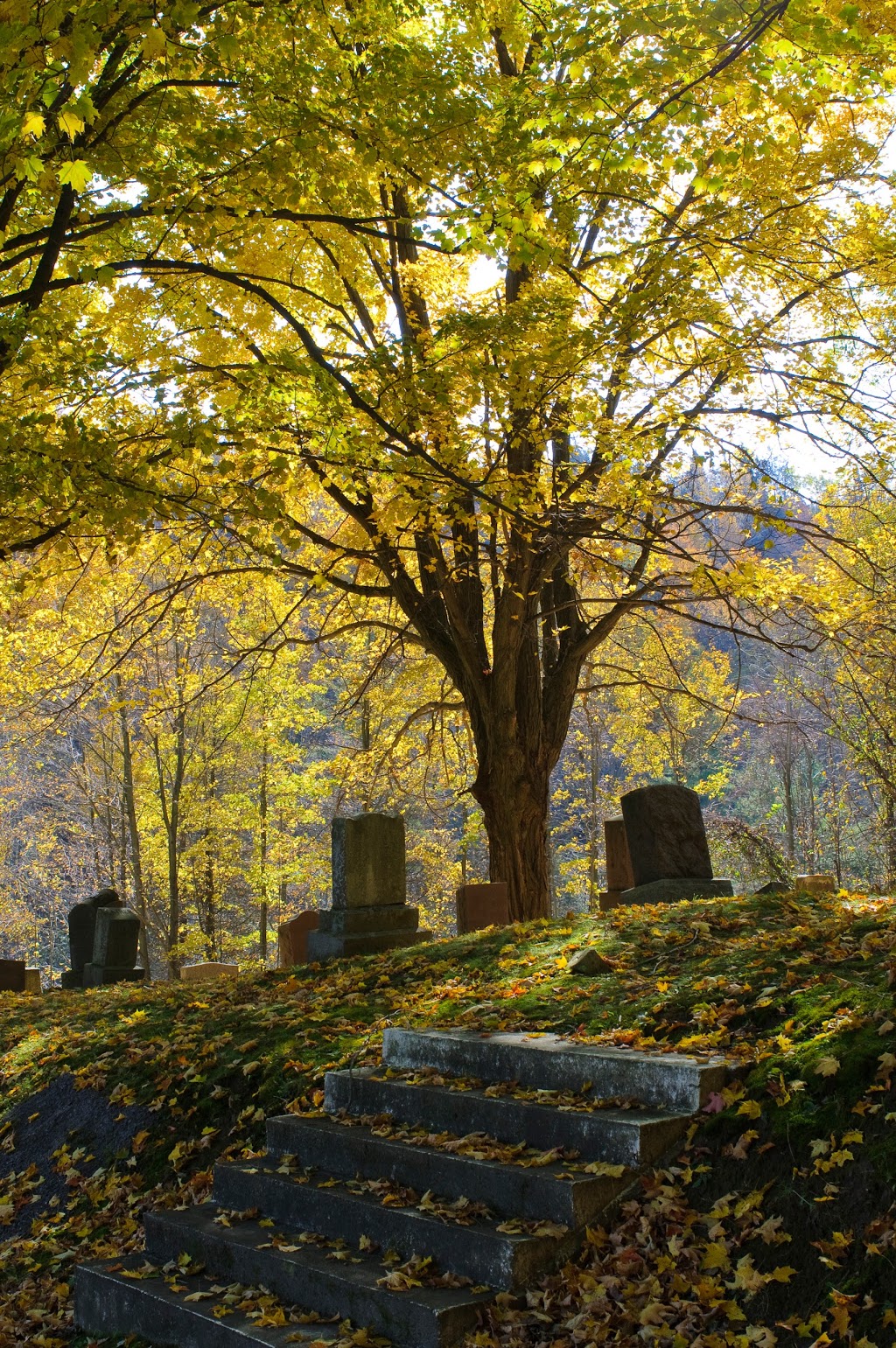 Glenwood Cemetery Company | 47 Ferguson St, Prince Edward, ON K0K, Canada | Phone: (613) 476-3511