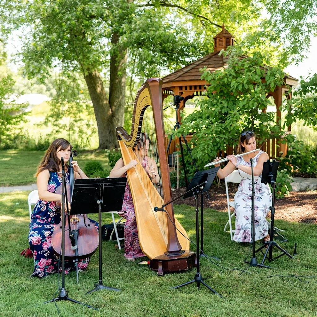 The Soenen Sisters Music - Harp Flute and Cello | 48 Kerr-Shaver Terrace, Brantford, ON N3T 6H8, Canada | Phone: (905) 818-4676
