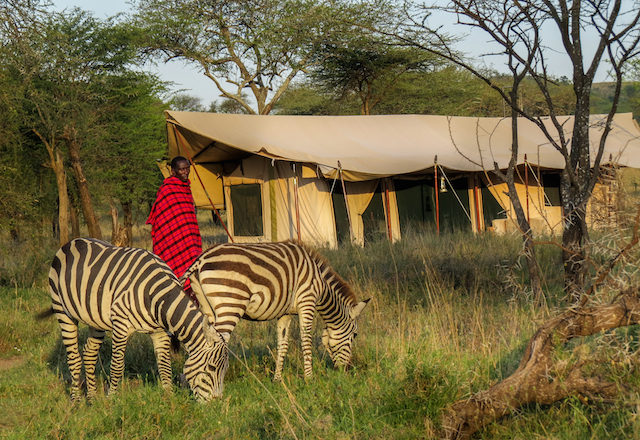 Explorations Africa | 236 Sunset Point, Cochrane, AB T4C 0L2, Canada | Phone: (403) 981-5558