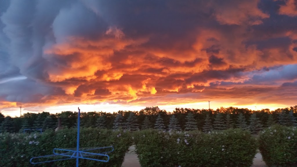Wintering Hills | 1, Wheatland County, AB T0J 0X0, Canada | Phone: (403) 787-2260