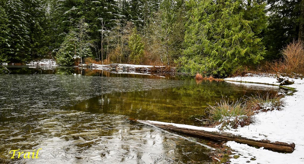Bear Mountain Park | 10969 Dewdney Trunk Rd, Mission, BC V4S 1L1, Canada