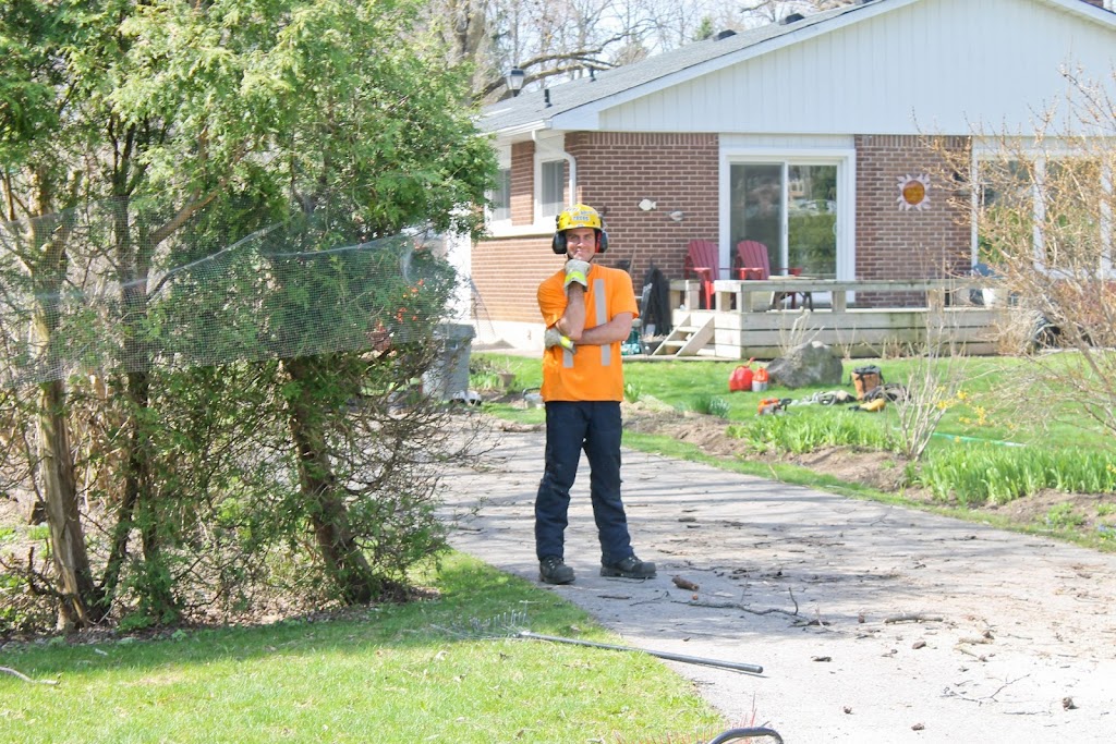 Kodiak Tree Services | 110 Sawmill Rd, Caledonia, ON N3W 2G9, Canada | Phone: (905) 648-5323