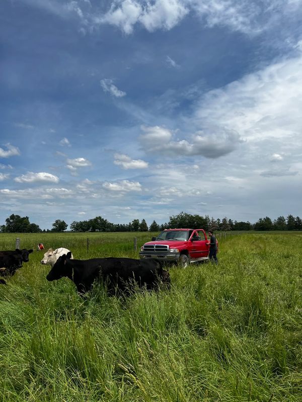 St. Isidore Ranch | #5148, Gads Hill, ON N0K 1J0, Canada | Phone: (519) 703-6780
