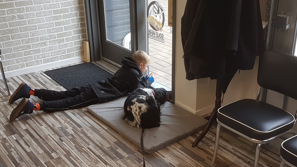 Pitt Meadows Barber | 10931 Barnston View Rd #103, Pitt Meadows, BC V3Y 0B8, Canada | Phone: (604) 459-7627