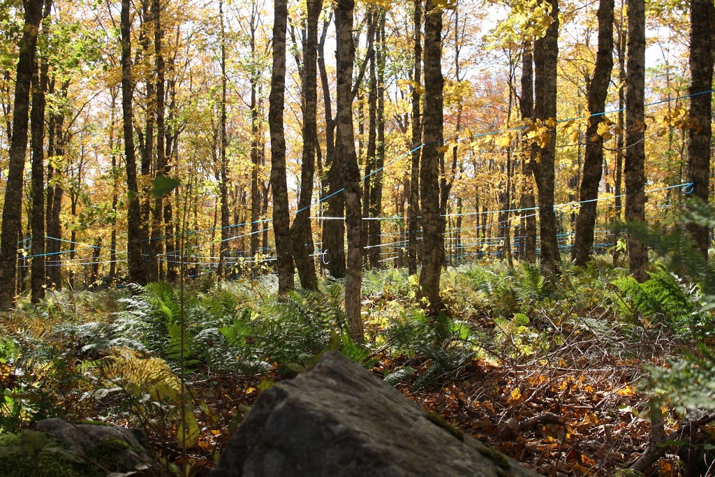 Maple Mist Farm | 1927 Kemptown Rd, Kemptown, NS B6L 2J2, Canada | Phone: (902) 657-3711