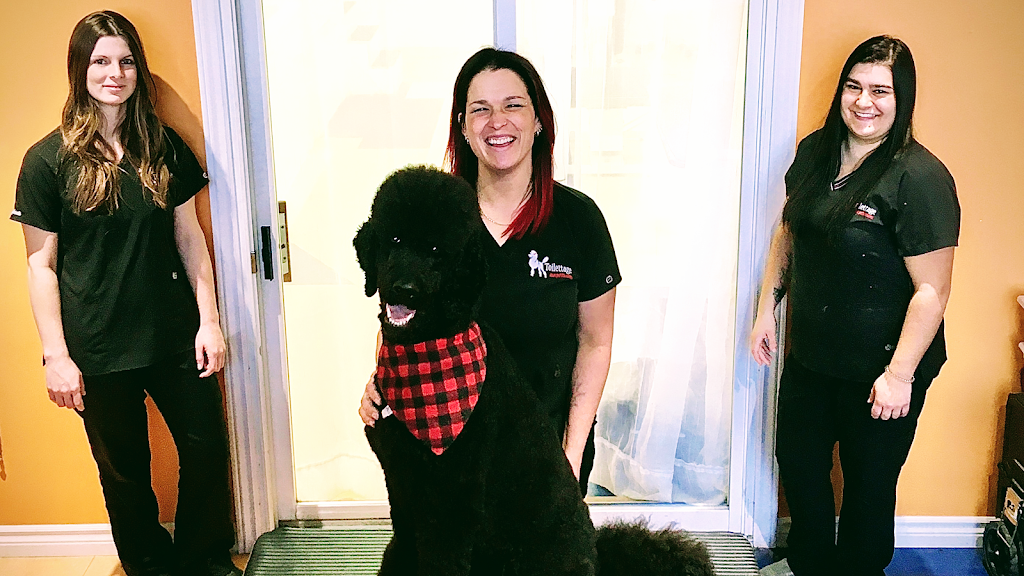 Centre de formation toilettage aux petits soins | 185 Bd Antonio-Barrette, Notre-Dame-des-Prairies, QC J6E 1E6, Canada | Phone: (450) 758-1855