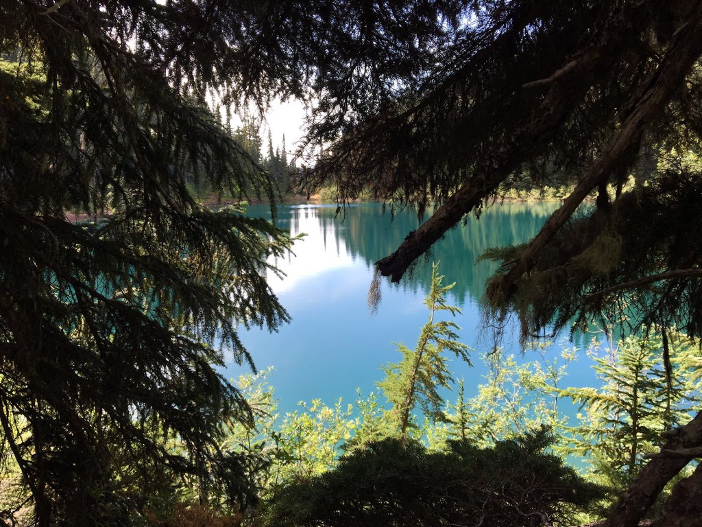 Rubble Creek Trailhead | Squamish-Lillooet D, BC V0N 0A0, Canada