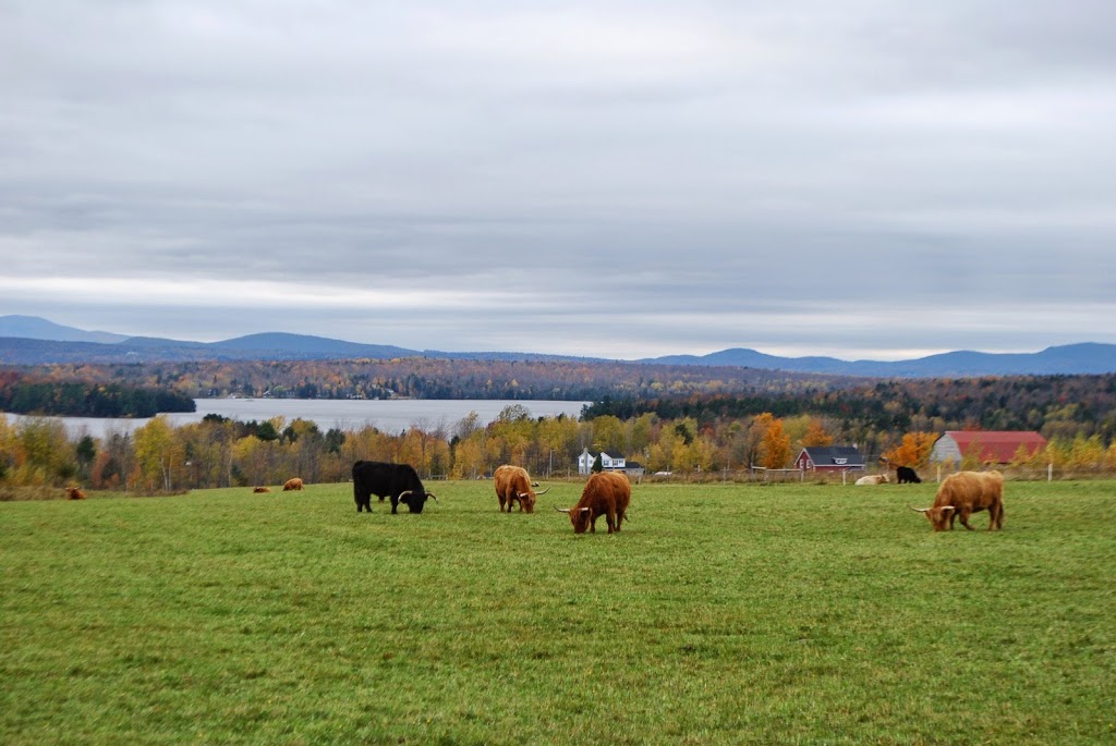 Ferme Au Pied Levé | 1107 Chemin Fitch Bay, Magog, QC J1X 3W2, Canada | Phone: (819) 843-6143