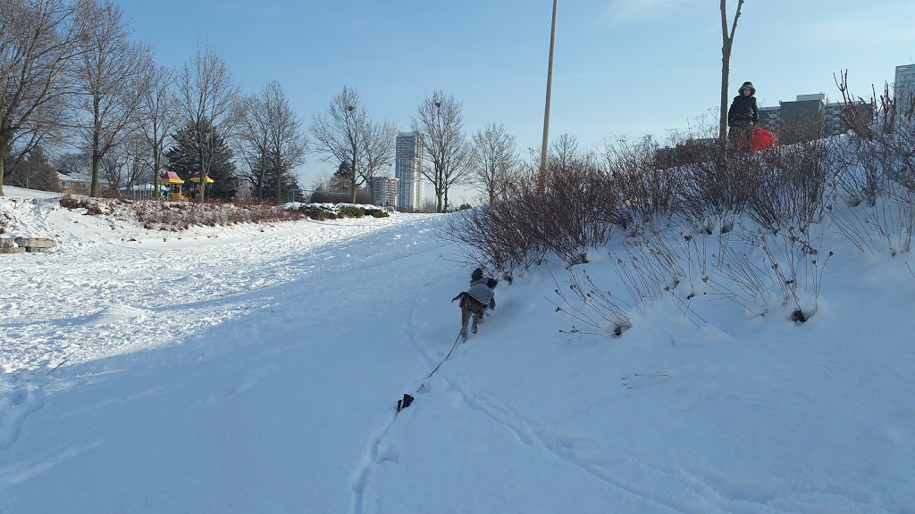 Muirhead Park | 65 Muirhead Rd, North York, ON M2J 3W4, Canada | Phone: (416) 392-2489