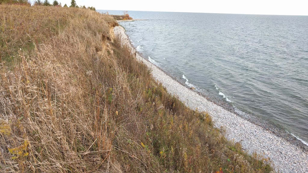 Ronald C. Deeth Park | Whitby, ON L1N 9V9, Canada