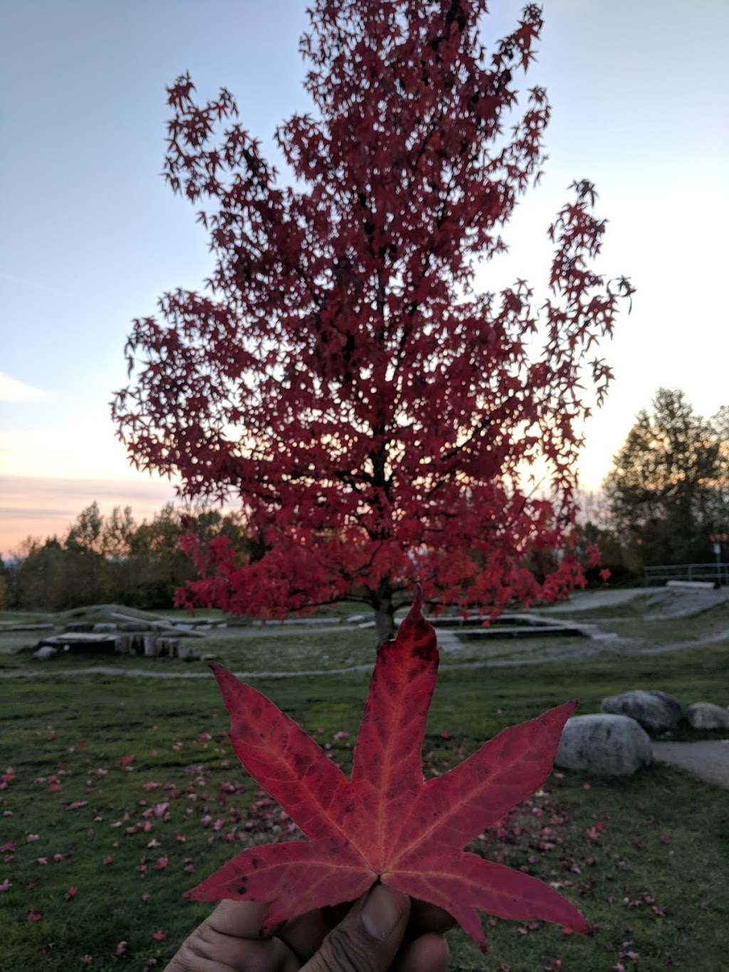 Taylor Park | 7599 Mission Ave, Burnaby, BC V3N 5C7, Canada