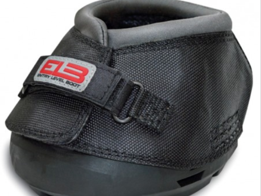 Cavalier Equestrian Inc | 818 Erie St, Stratford, ON N4Z 1A2, Canada | Phone: (519) 273-3122