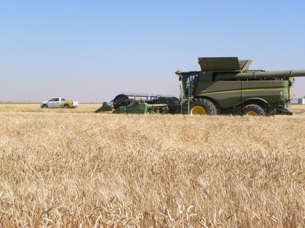 South Country Equipment Ltd | 609 Main Street North, Mossbank, SK S0H 3G0, Canada | Phone: (306) 354-2411