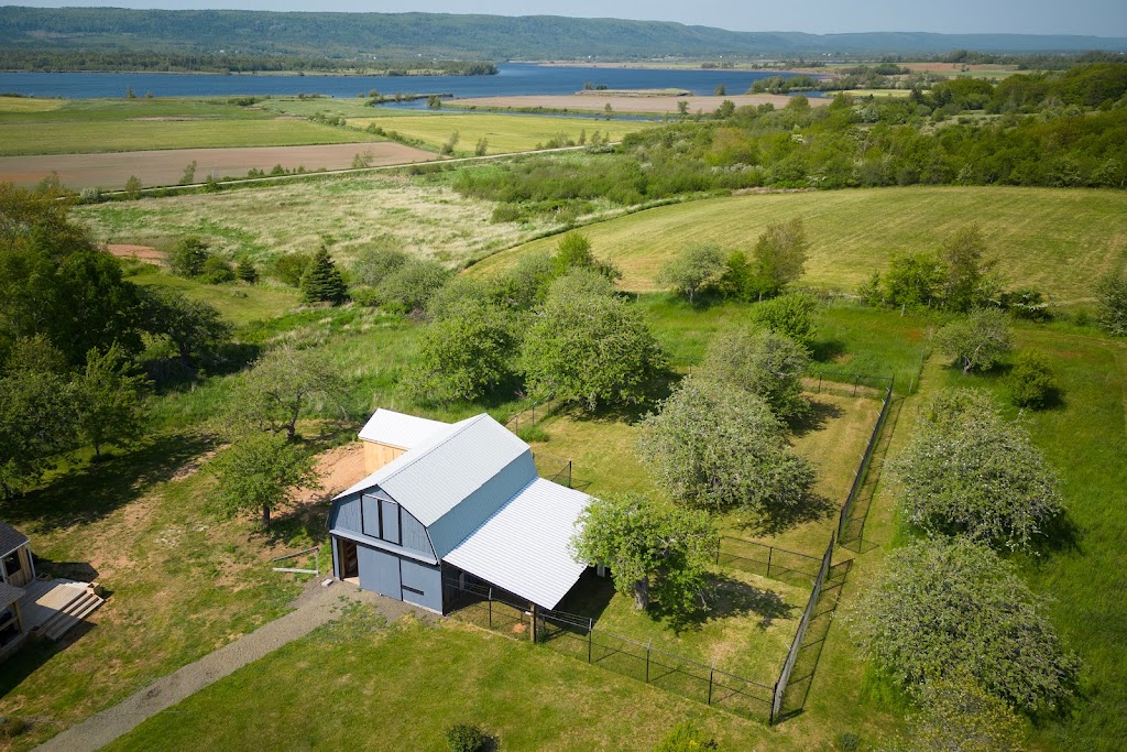 Rock & Stroll Dog Camp | 675 Marsh Rd, Round Hill, NS B0S 1A0, Canada | Phone: (902) 526-2921