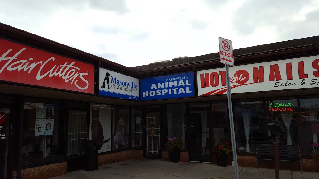 VCA Canada Masonville Animal Hospital | 101 Fanshawe Park Rd E #8, London, ON N5X 3V9, Canada | Phone: (519) 660-1770