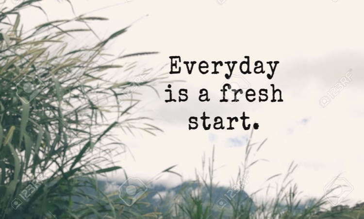 Fresh Start Organizing | 6204 County Rd 9, Greater Napanee, ON K7R 3K8, Canada | Phone: (613) 848-6555