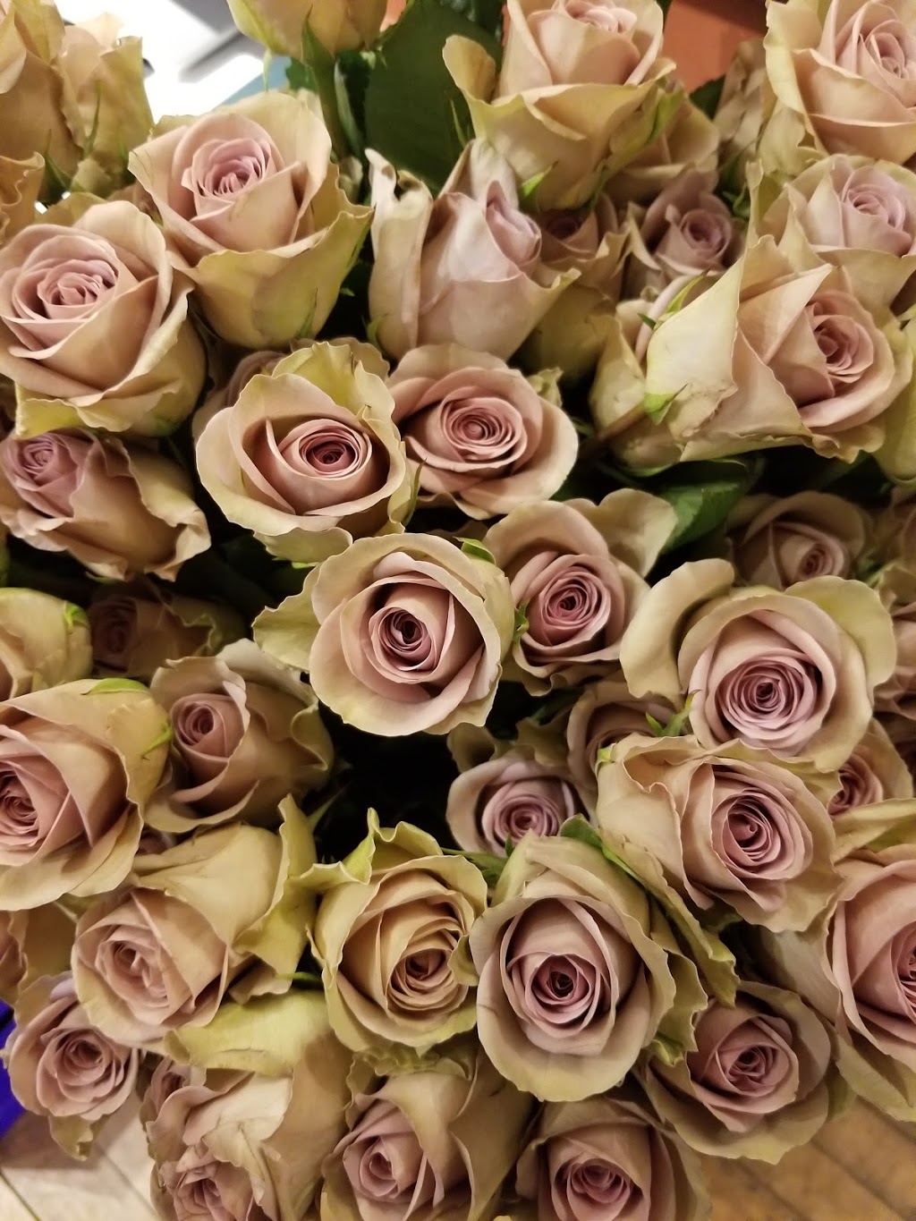 Blooms n Rooms | 17 Main St S, Seaforth, ON N0K 1W0, Canada | Phone: (519) 527-0555