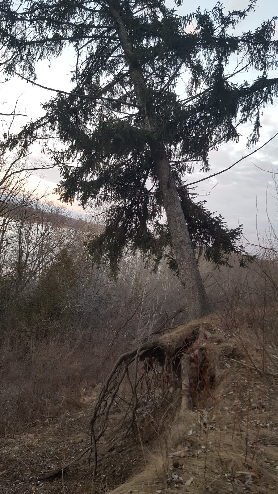 Village of Newport Park | Brant, ON N3T 5L6, Canada