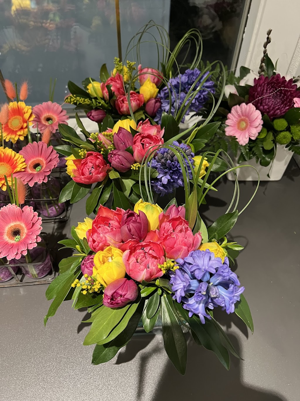 Hypnotic Bloom Spruce Grove | 1 Hawthorne Gate #106, Spruce Grove, AB T7X 0A6, Canada | Phone: (587) 461-2414