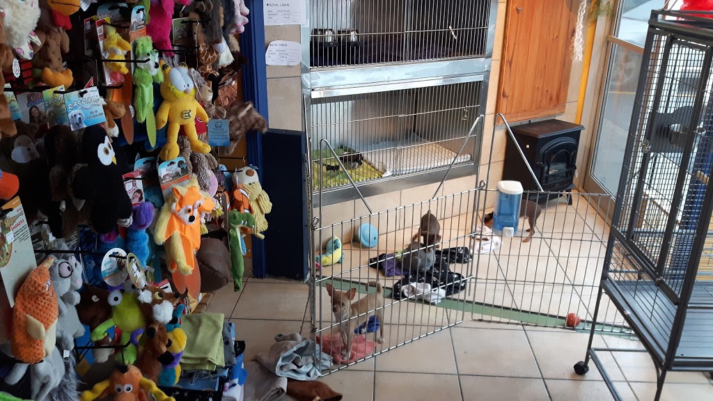 Animalerie | 1080 Rang Saint-François, Terrebonne, QC J6Y 1Z5, Canada | Phone: (450) 979-9724