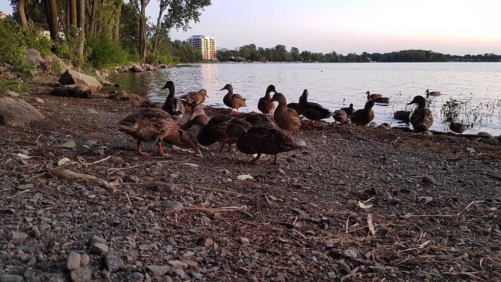 Rive-Boisee Park | Pierrefonds, Montreal, QC H8Z, Canada | Phone: (514) 872-0311