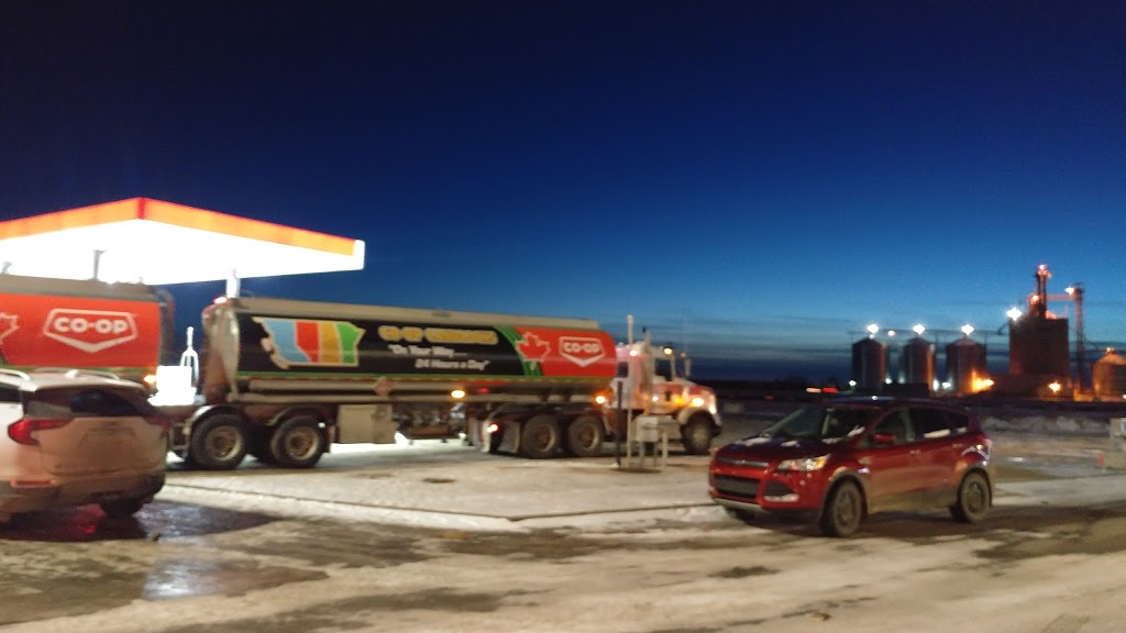 DQ Grill & Chill Restaurant | Highway 11 & Enterprise Lane, Davidson, SK S0G 1A0, Canada | Phone: (306) 567-3737