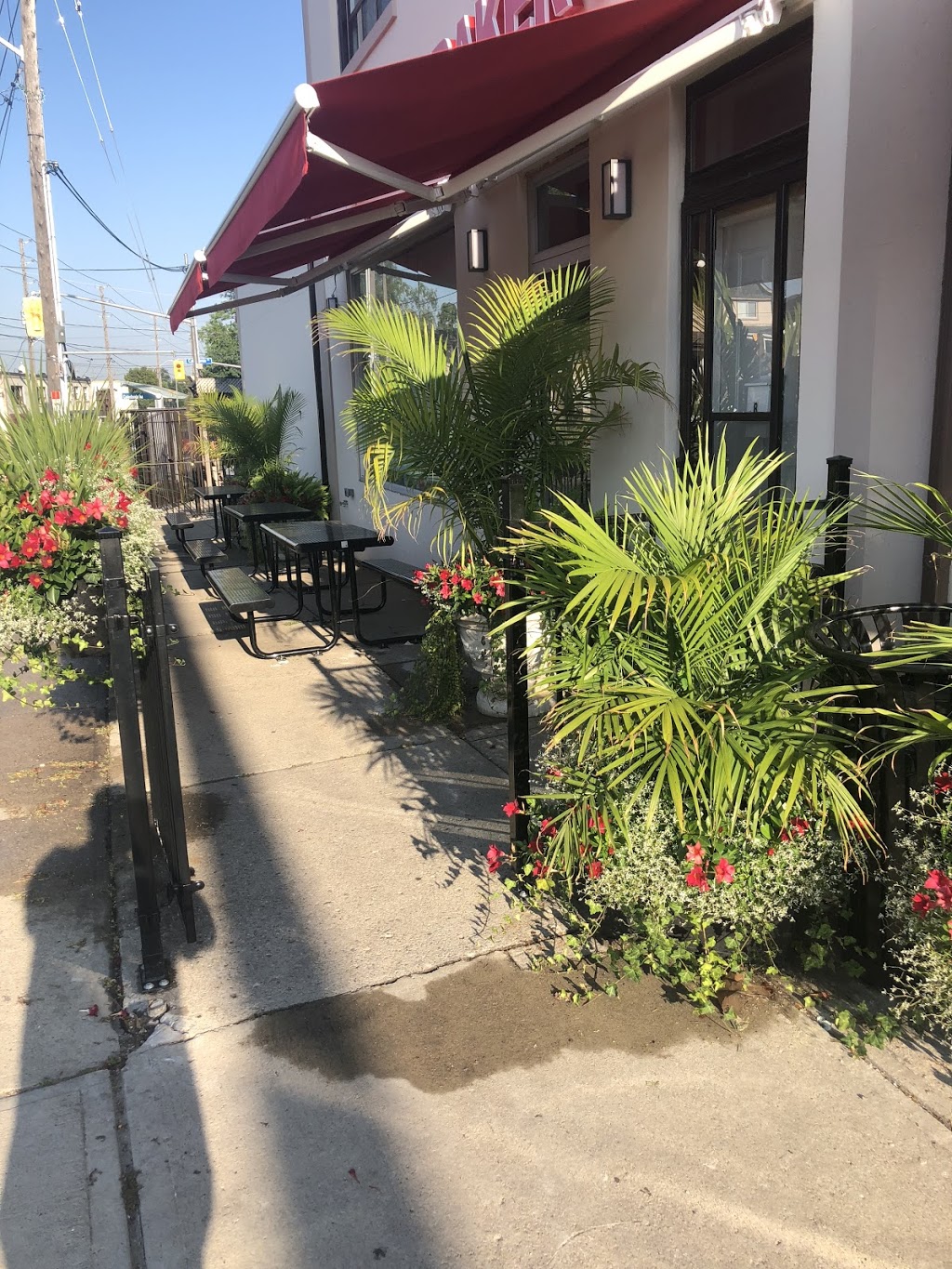 Angels Bakery & Deli | 296 Rogers Rd, York, ON M6E 1R3, Canada | Phone: (416) 651-3402