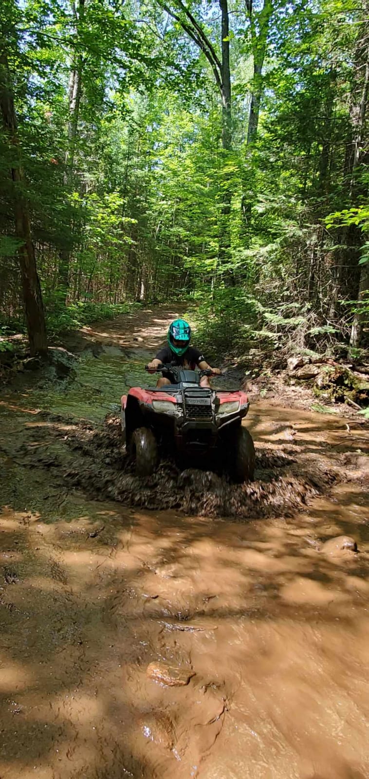 Back Country Tours Inc. | 48 Highland St, Haliburton, ON K0M 1S0, Canada