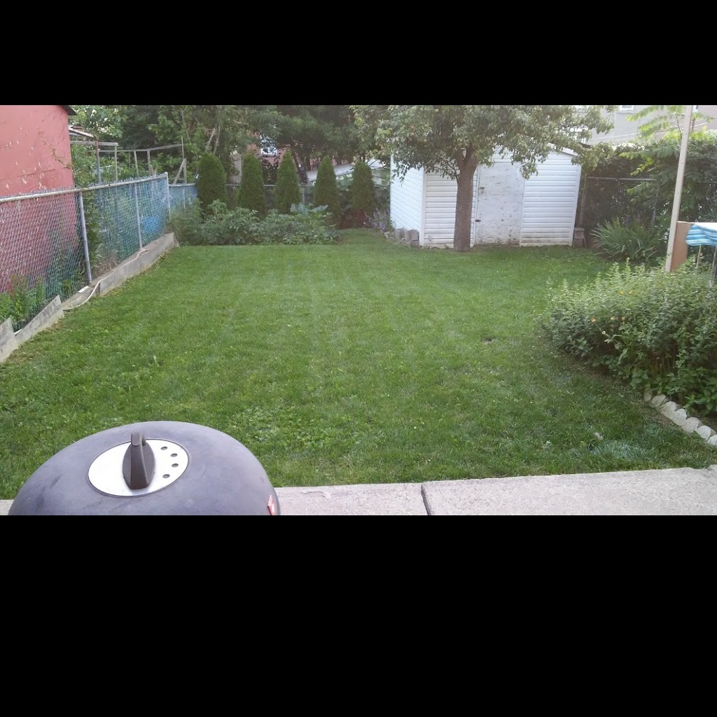 Sabis property maintenance | 1139 Quaker Rd, Oakwood, ON K0M 2M0, Canada | Phone: (647) 857-8991