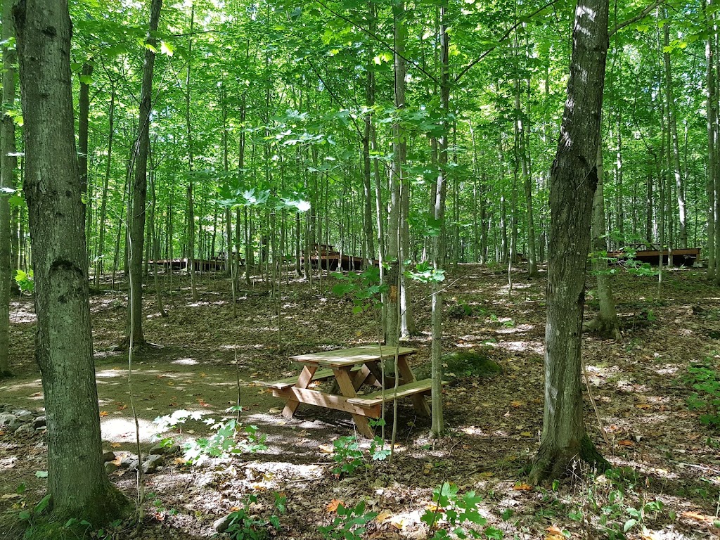 Coopérative de Solidarité LAffluent | 1300 Rue Principale, Petite-Rivière-Saint-François, QC G0A 2L0, Canada | Phone: (418) 632-5653