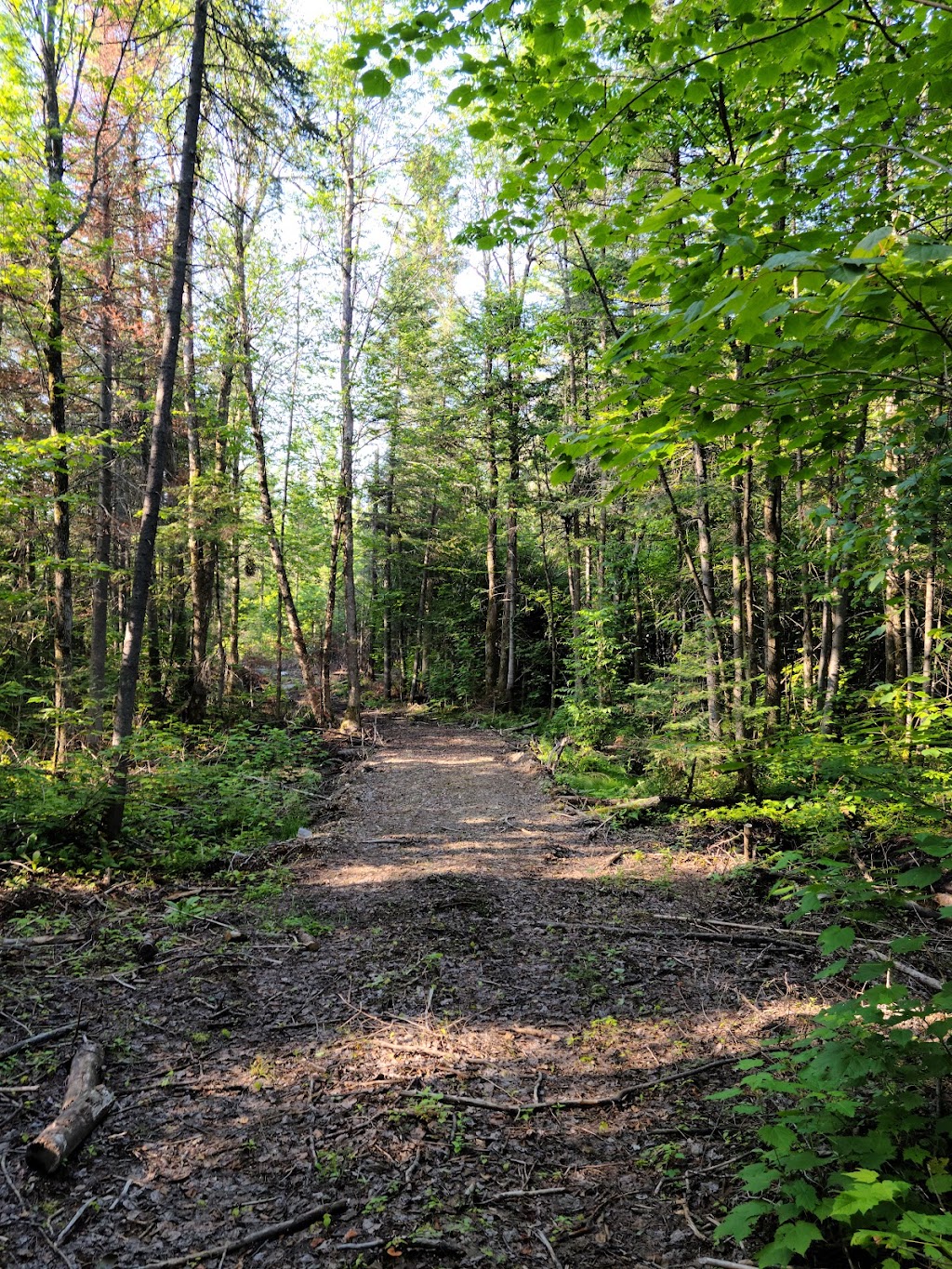 Camping domaine Lavoie | 6545 Rang Melançon, Alma, QC G8B 5V3, Canada | Phone: (418) 321-2315