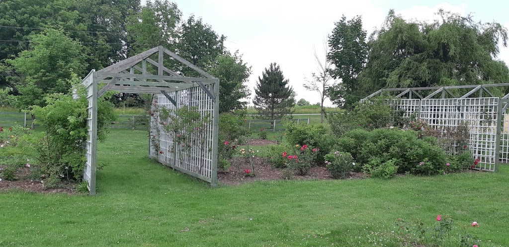 Rose Haven | 8733 Reily Dr, Mount Brydges, ON N0L 1W0, Canada