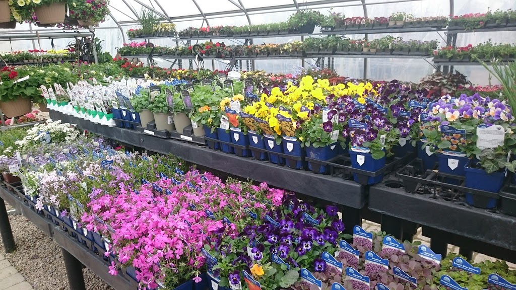 Lakewood Garden Centre Ltd | 72856 Bluewater Hwy, Zurich, ON N0M 2T0, Canada | Phone: (519) 236-4479