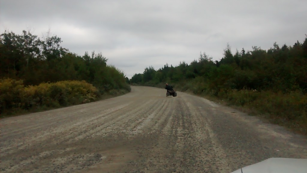 B G Property Maintenance | 6 Grant Hill Ln, North Preston, NS B2Z 1A2, Canada | Phone: (902) 430-3270