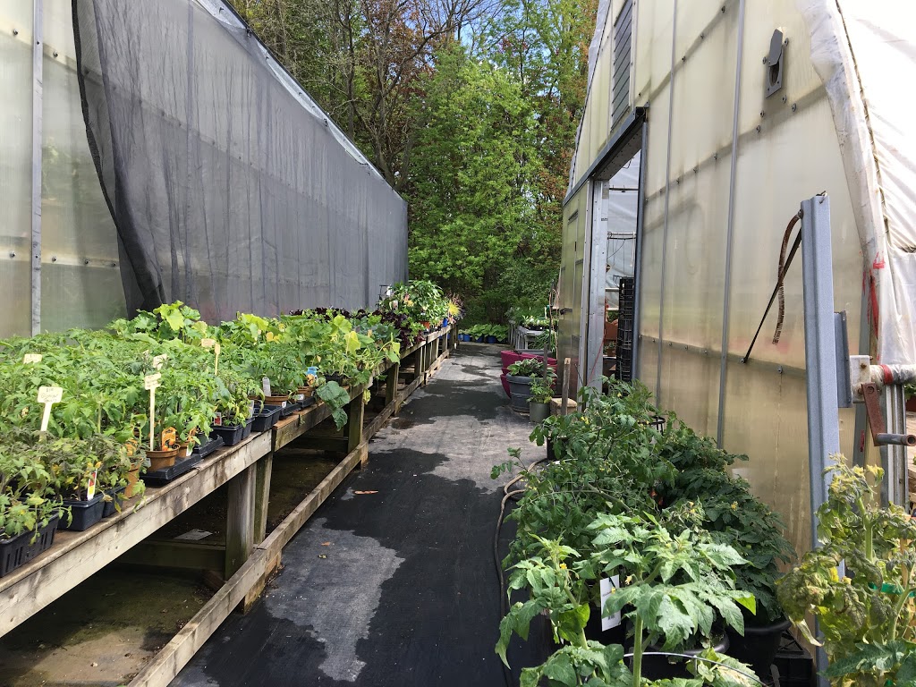 Wells Greenhouses and Landscape Services Inc. | 775486 Blandford Rd, Innerkip, ON N0J 1M0, Canada | Phone: (519) 469-3463