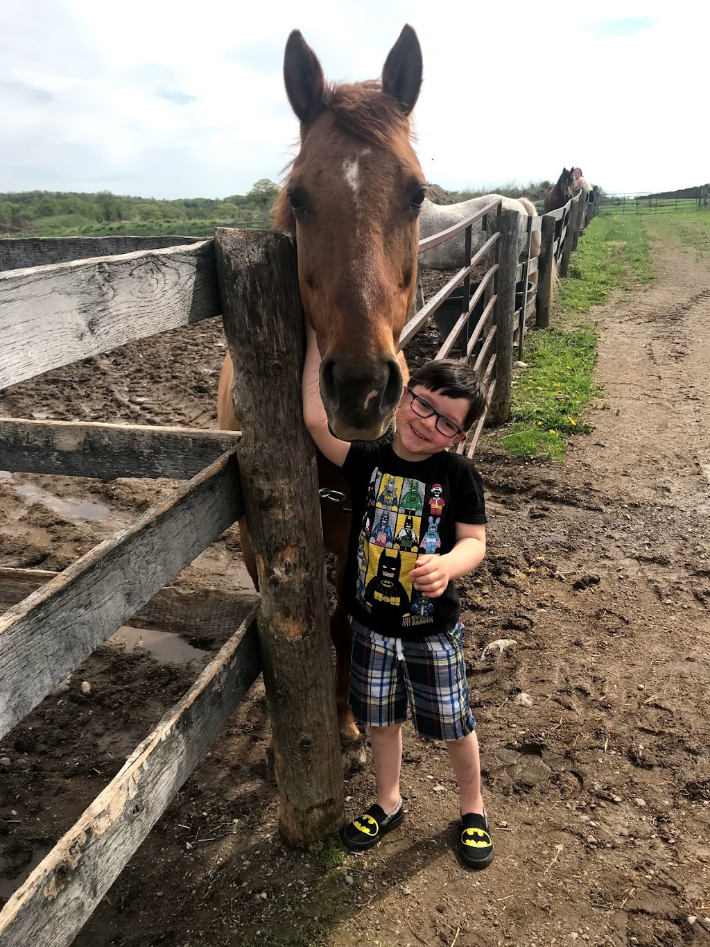 Greenfield Stables | 1864 Greenfield Rd, Cambridge, ON N1R 5S5, Canada | Phone: (519) 716-9600
