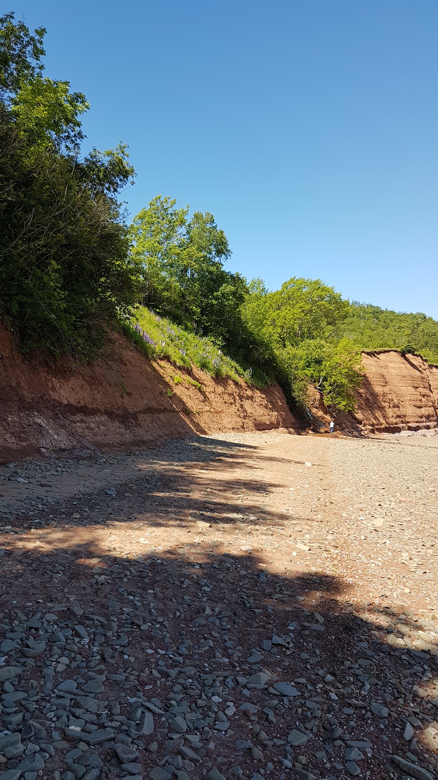 Blomidon Bible Camp | 2739 Pereau Rd, Canning, NS B0P 1H0, Canada | Phone: (902) 599-1182