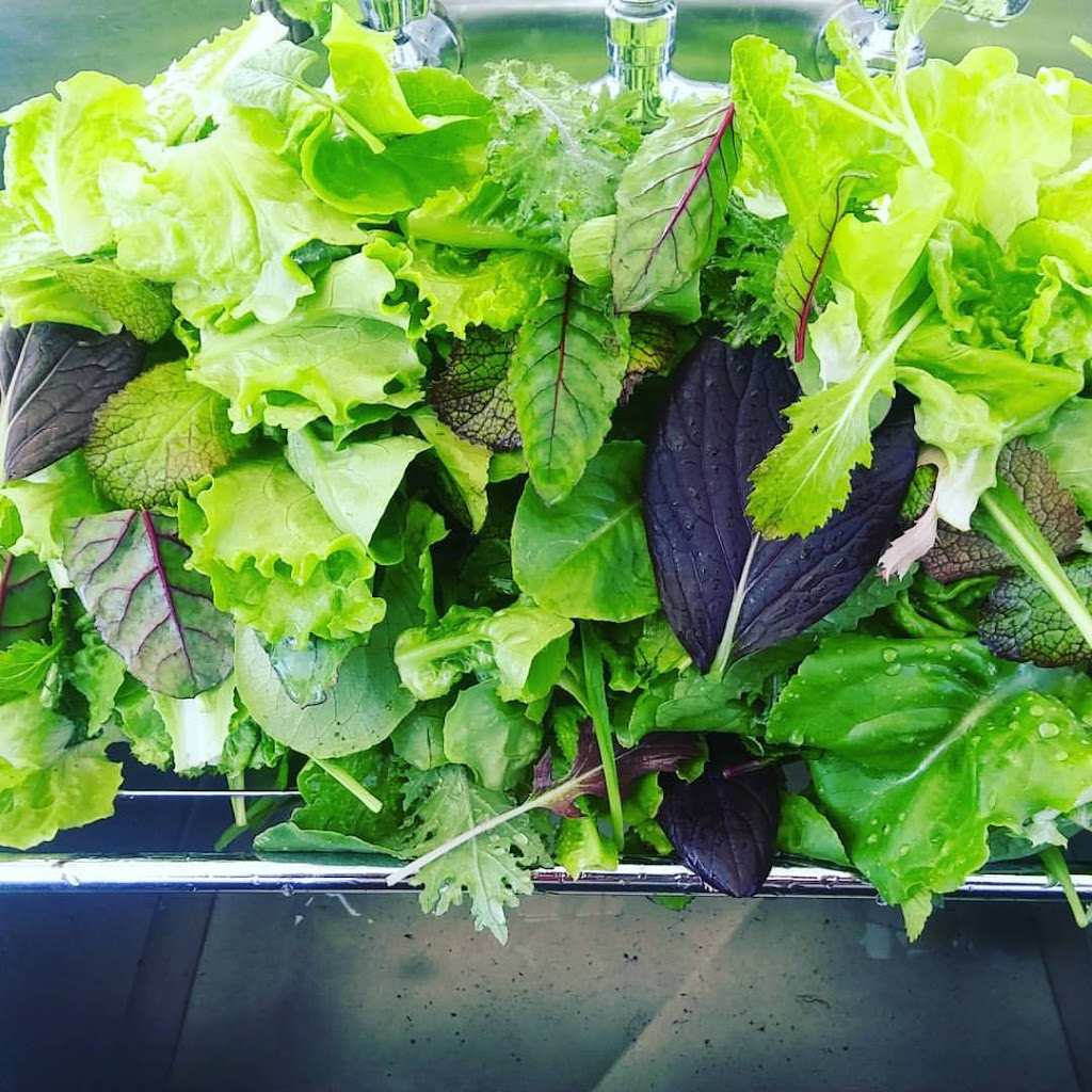 Mountain River Farm | 712 Torbrook Rd, Wilmot, NS B0P 1W0, Canada | Phone: (902) 825-9257