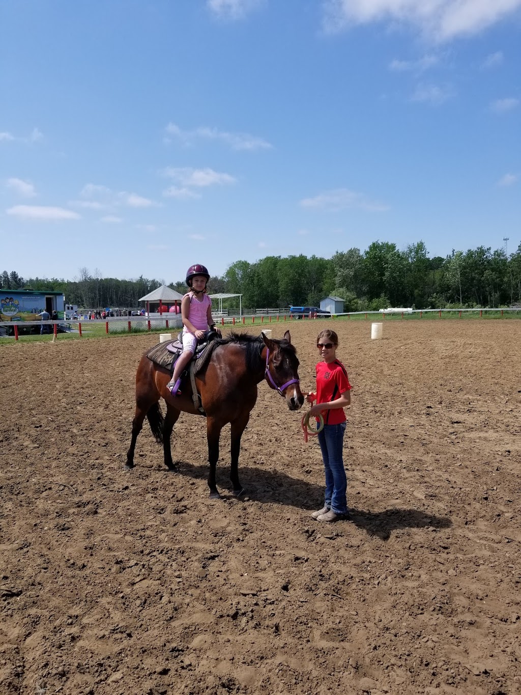 Red River Roping and Riding Arena | 407 Red Wing Rd, Spruce Home, SK S0J 2N0, Canada | Phone: (306) 763-3434