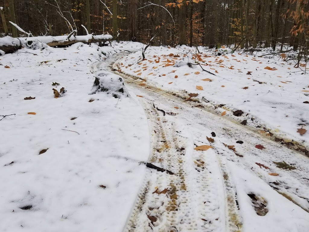 Goodwood Tract Oak Ridges Trail | Red Oak Trail, Uxbridge, ON L9P 1R4, Canada | Phone: (905) 833-6600