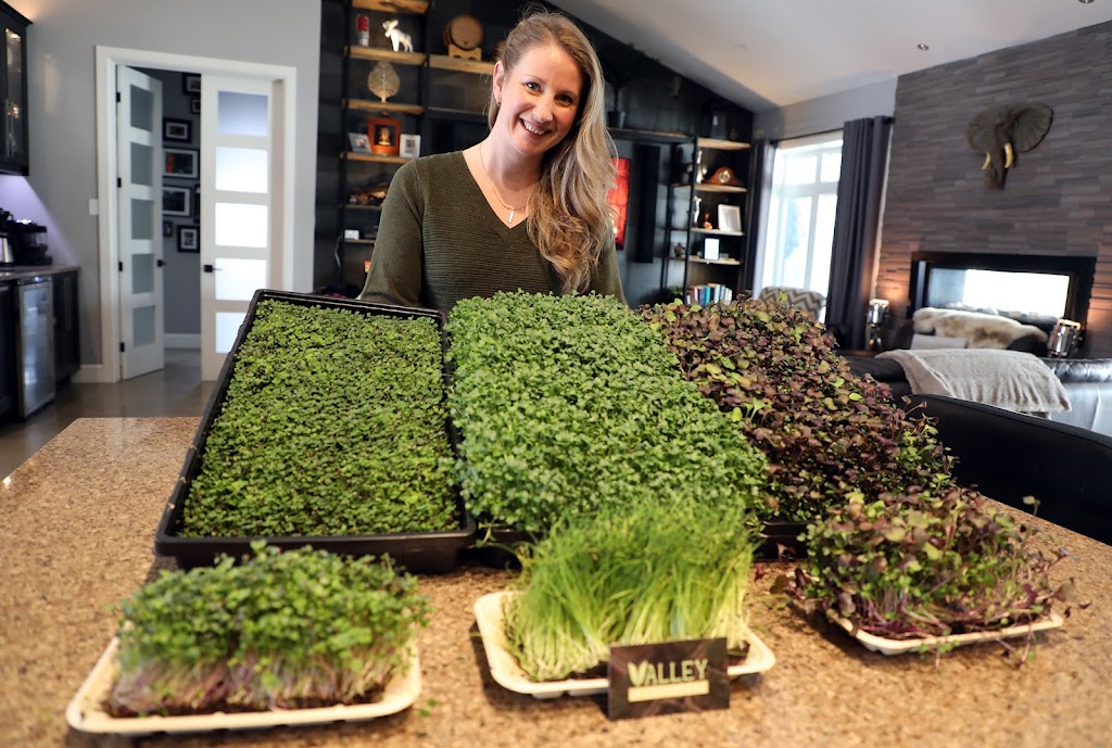 Valley Microgreens | 12 Constance Lake Rd, Kanata, ON K2K 1X7, Canada | Phone: (613) 447-7144