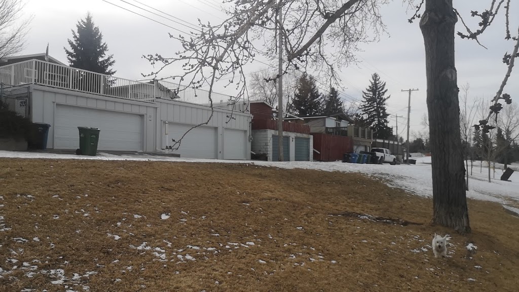 Fairview Off Leash Dog Area | 7532-7800 Flint Rd SE, Calgary, AB T2H 1G3, Canada | Phone: (403) 268-5861