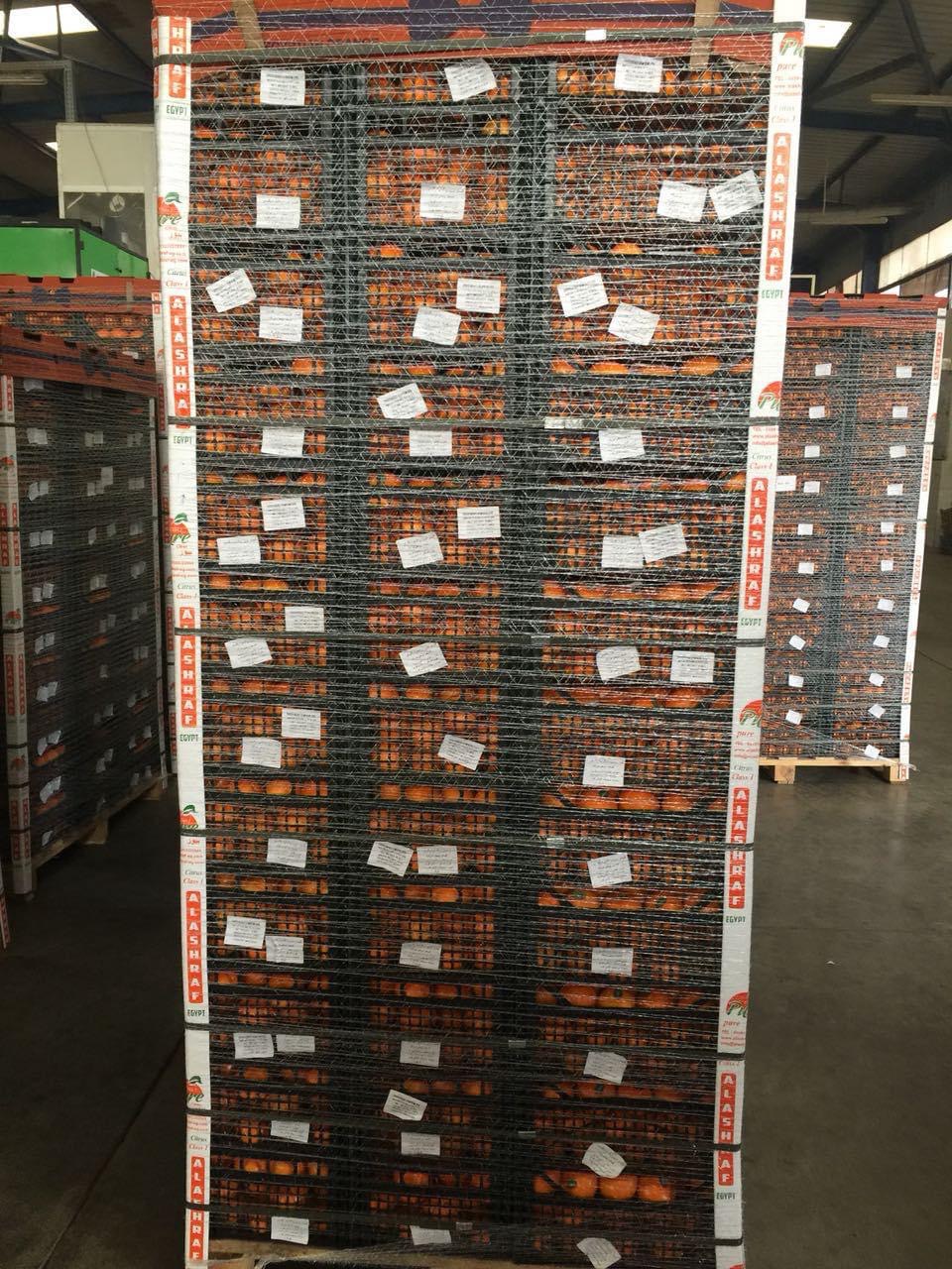 East West Corporation | 3765 Loggers way , kinburn Store# 112, Ottawa, ON K0A 2H0, Canada | Phone: (613) 869-0882