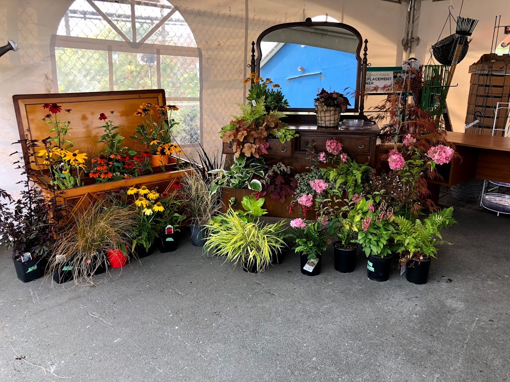 Michell Valley Plants | 2451 Island View Rd, Saanichton, BC V8M 1W3, Canada | Phone: (250) 886-0494