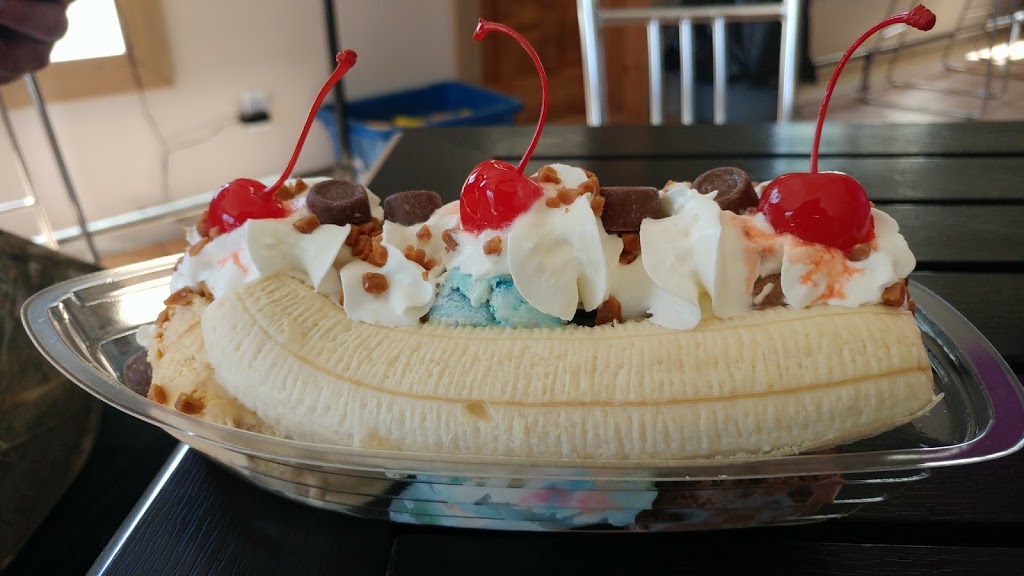 Scoopz | 3395 Muskoka St, Washago, ON L0K 2B0, Canada | Phone: (705) 955-8486