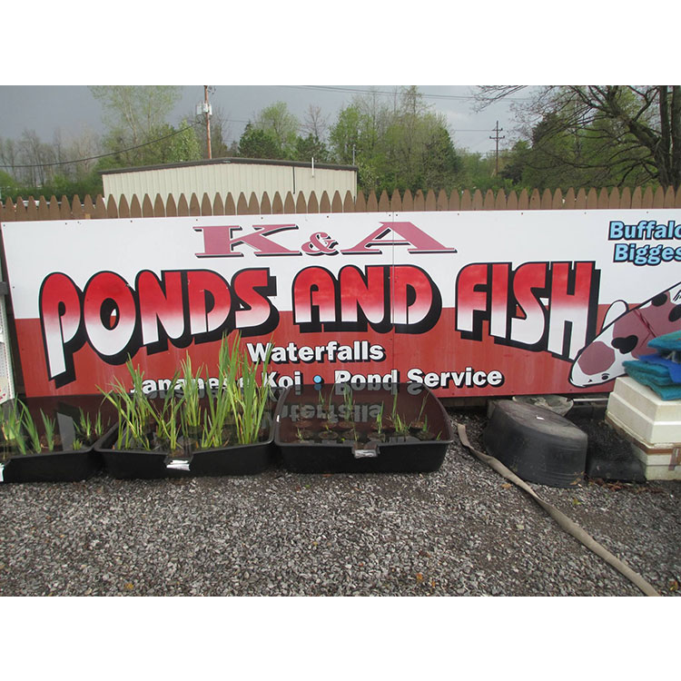 K&A Ponds | 8905 Sheridan Dr, Clarence, NY 14031, USA | Phone: (716) 632-1293