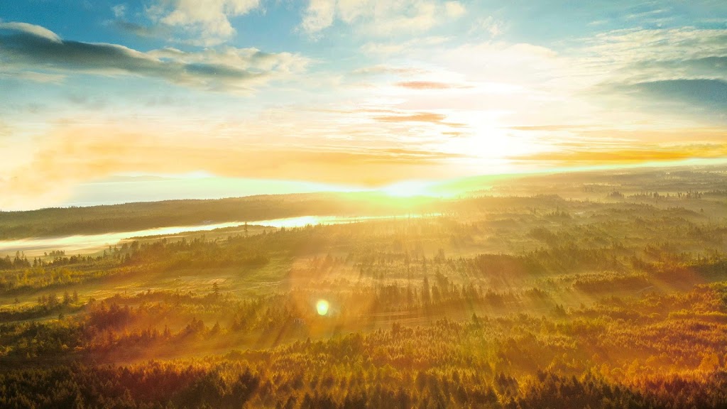 Dd aerial photography | 1095 Spider Lake Rd, Qualicum Beach, BC V9K 2L7, Canada | Phone: (250) 927-3283