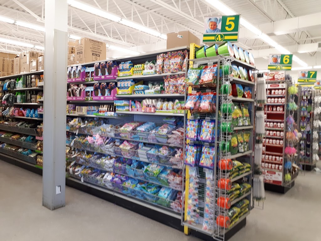 Dollarama | Bullfrog Mall, 380 Eramosa Rd, Guelph, ON N1E 6R2, Canada | Phone: (226) 251-3062