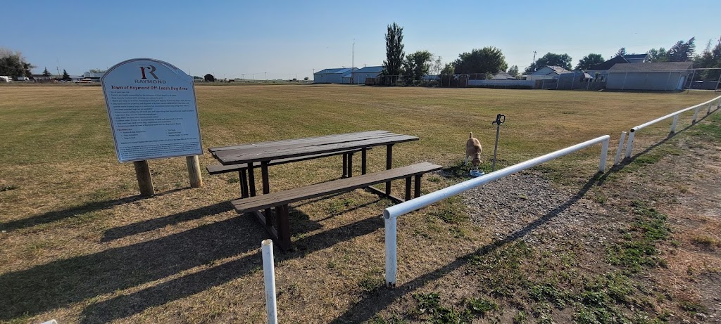 Town of Raymond Drive-In | 53 W 500 N, Raymond, AB T0K 2S0, Canada | Phone: (403) 752-3322